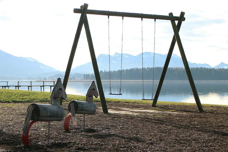 Swings as Simple Examples of Vibration Movements