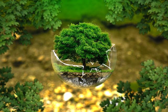 Ecology and Sustainability: Environmental protection is becoming increasingly important in the construction industry.