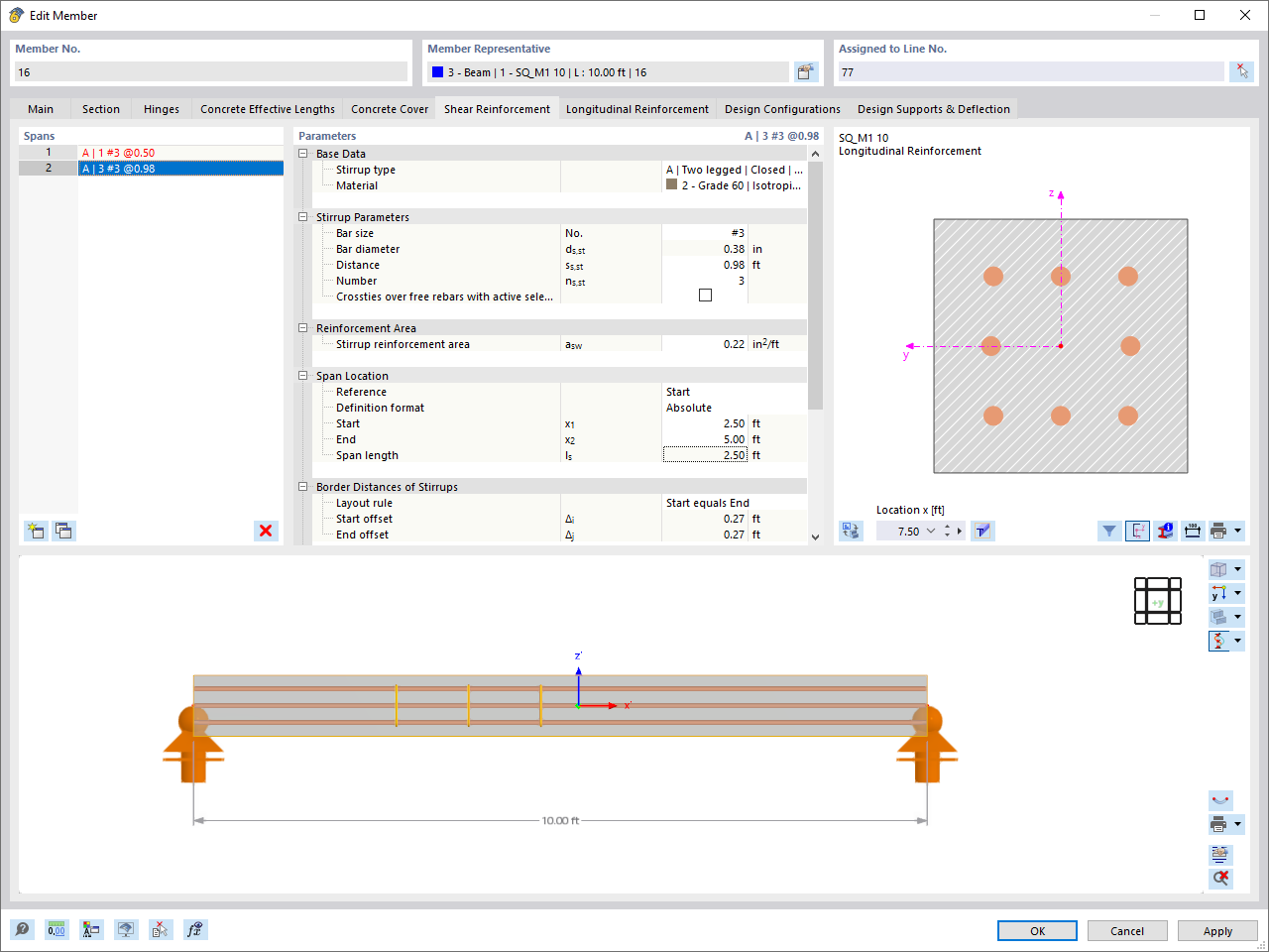 Reinforcement Graphics for Section and Member