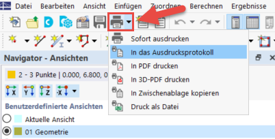 Print View in Printout Report