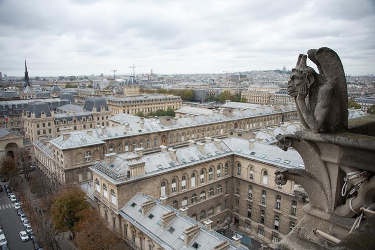 Gargoyle of Notre-Dame in Paris