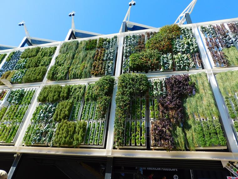 Futuristic Concept of Vertical Forest