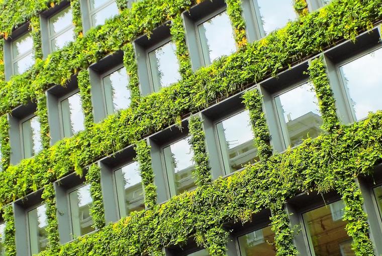 Green facades ensure a better healthy climate in city centers.