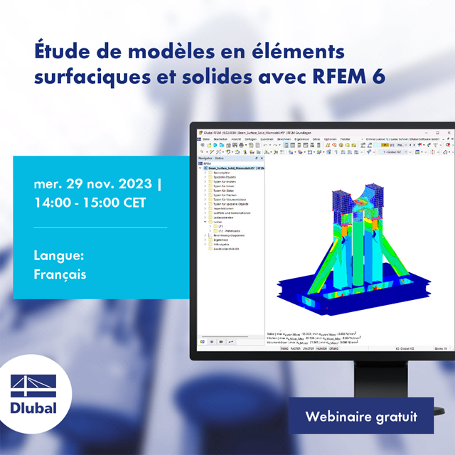 Analysis of Surface and Solid Elements with RFEM 6
