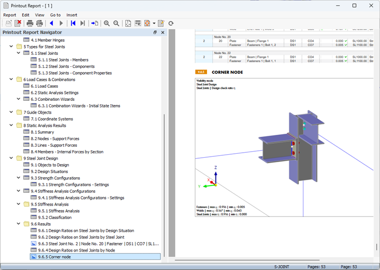 Image in Printout Report