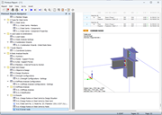 Image in Printout Report
