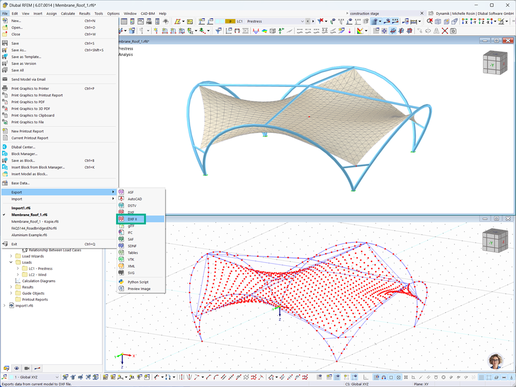 Feature 002880 | Import and Export of DXF‑II 