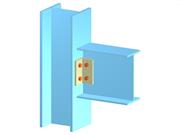 Model 005119 | Beam to Continuous Column