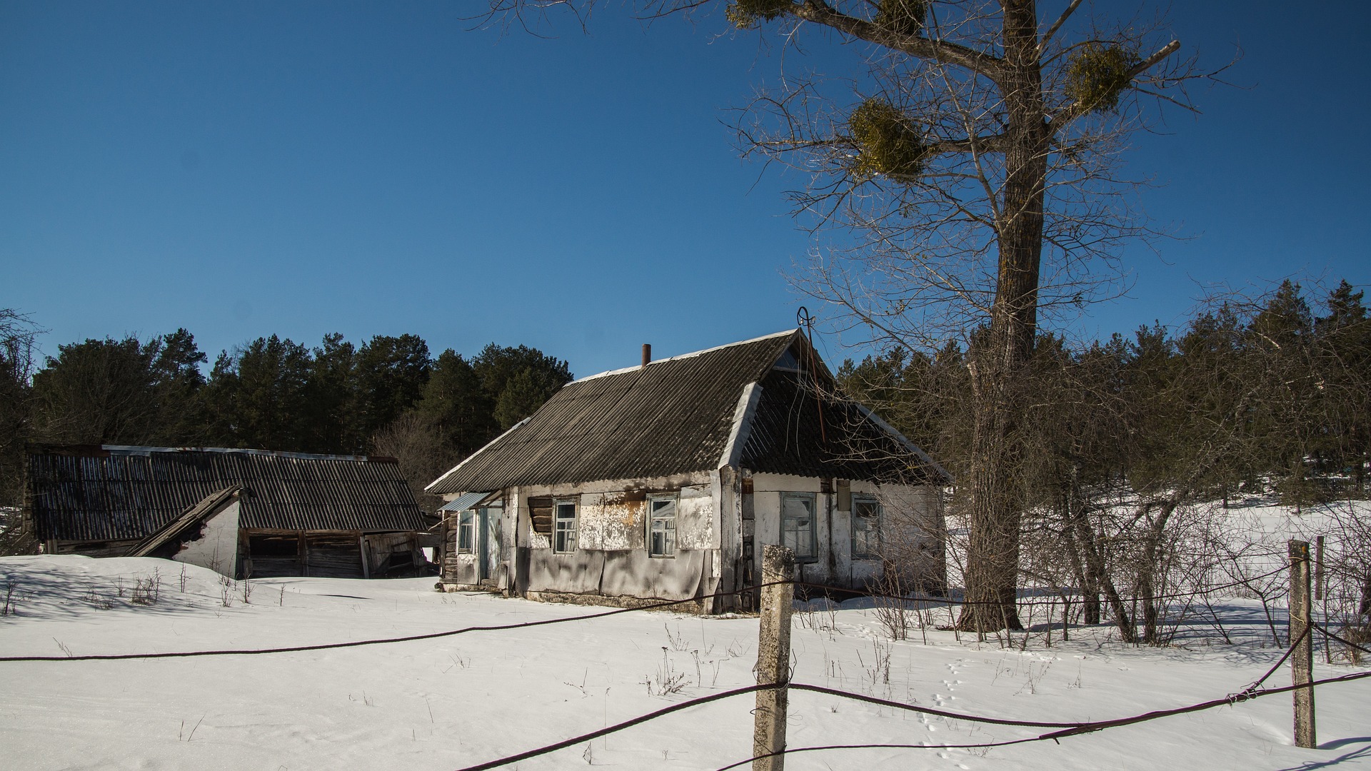 Many settlements around Chernobyl are still ghost towns today.