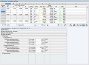 Screenshot of Window 3.3 for nonlinear calculation by point with text boxes and options
