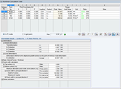 Screenshot of a dialog box for controlling nonlinear general calculations