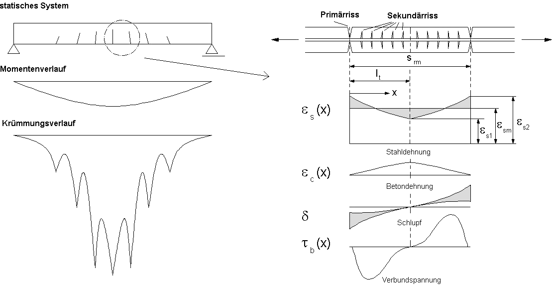 The image shows the stress and strain behavior between two primary cracks and the stiffening effect of the concrete.
