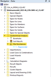 Navigator view | Pile resistance types, member type and pile, selection menu