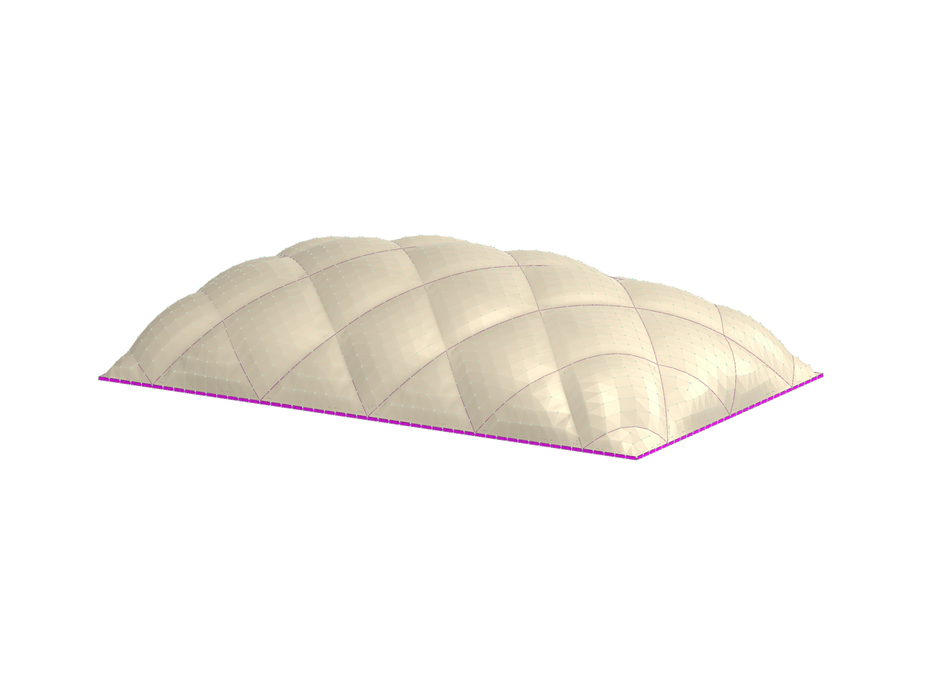 Model 005697 | View of an air-supported hall showcasing a tensile membrane structure, illustrating modern engineering techniques.