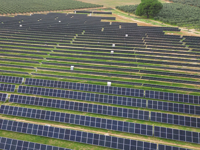 Aerial view of solar trackers, highlighting their arrangement on the ground.