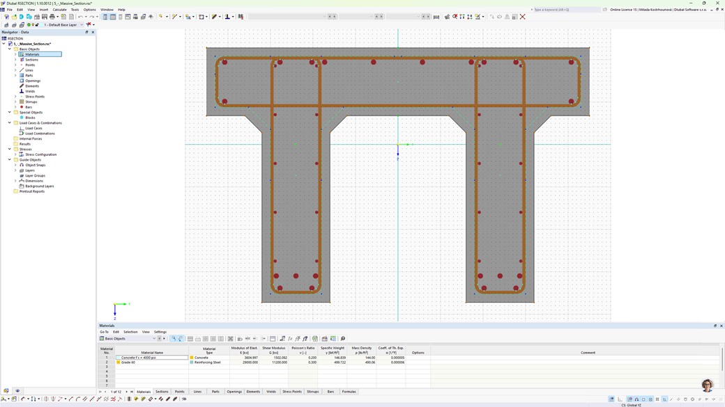 Reinforced concrete cross-section visualization in RSECTION with details of concrete cover as well as shear and longitudinal reinforcement settings.