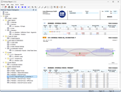 Documentation of Results in Printout Report