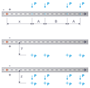 Concentrated – 2 x 2