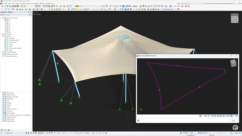 Membrane structure display with detailed cutting pattern using RFEM's Cutting Patterns add-on in a comprehensive model view.
