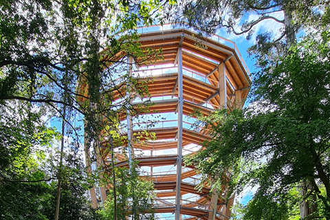 Lookout Tower and Treetop Walkway in Avondale Forest by WIEHAG GmbH, structural analysis done in RSTAB.