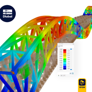 Customer Project | World's Longest Timber Footbridge