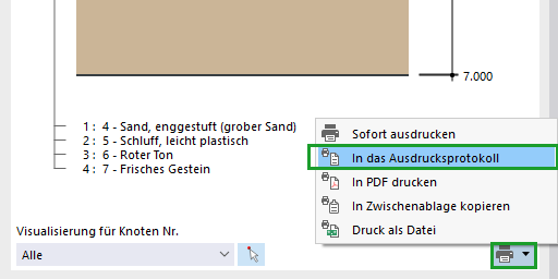 Printing Graphics into Printout Report