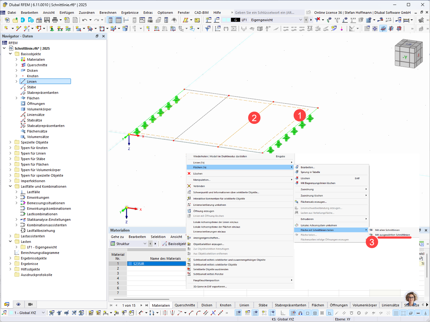 Dividing Surface with Selected Section Lines
