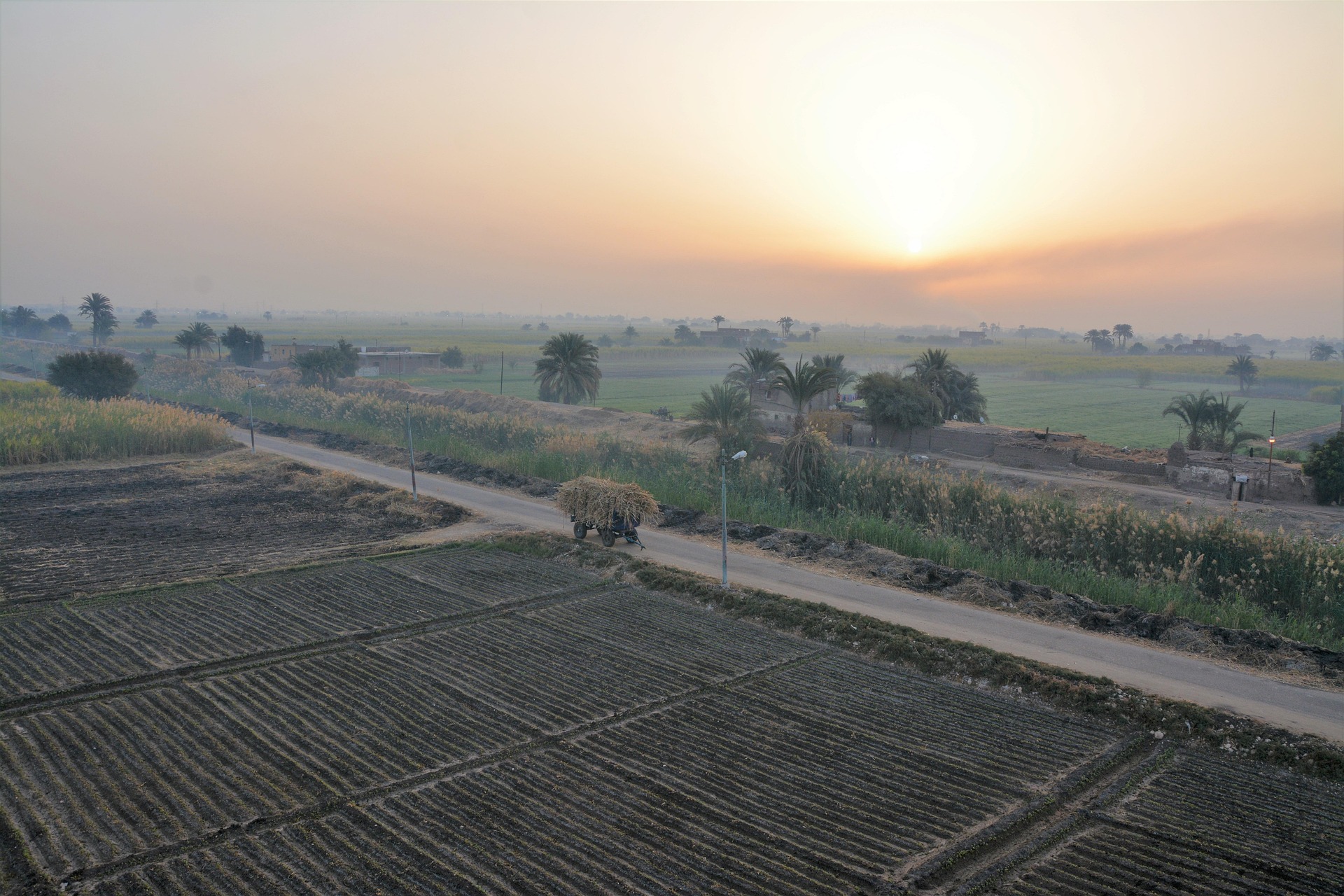 A road runs along fields bordering the fertile Nile region.