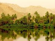 Contrast of Egyptian landscape with fertile Nile banks and the desert beyond is clearly visible.
