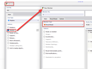 RFEM FAQ 5725 Assigning Result Beam member type