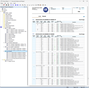 Printout Report with Steel Design Data