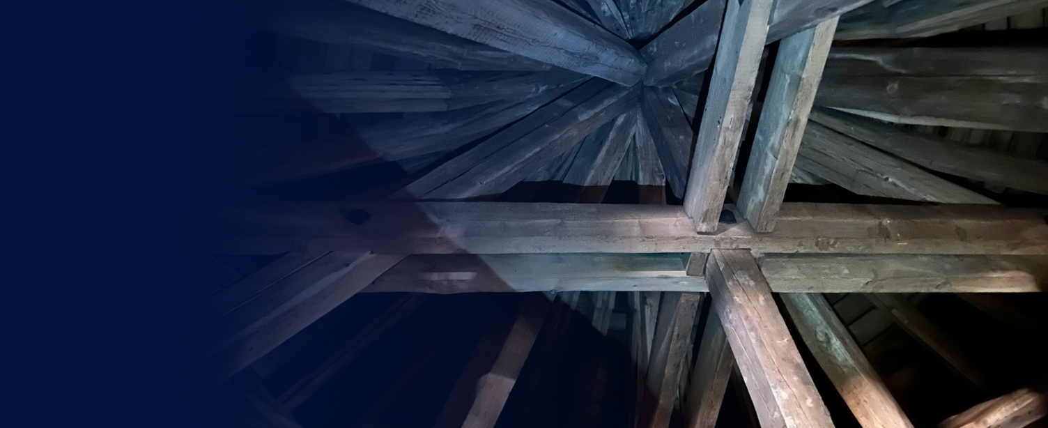 Historic Roof Structure by ALS Ingenieure GmbH & Co. KG