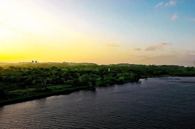 A vast landscape featuring vegetation and bodies of water along the Panama Canal, surrounded by green hills and trees.