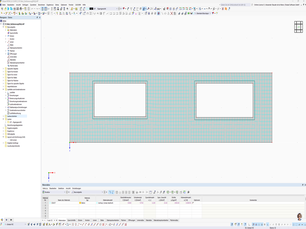Finite element mesh for the detailed analysis of a model.