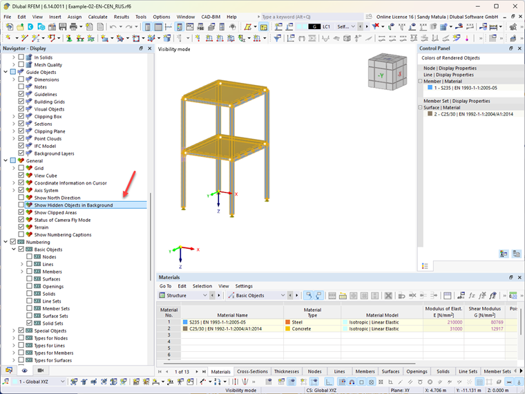 RFEM user interface with deactivated option for hidden elements in the background.
