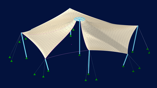 An image showing the definition of cutting patterns on mesh surfaces in a membrane structure. The mesh details guide the membrane design.