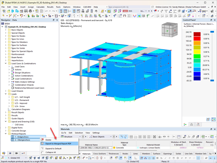 PDF export function for printout reports in the RFEM user interface is displayed.
