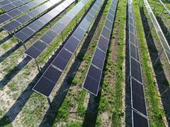 Bird's-eye view of a PV system with solar cell modules in a large area.