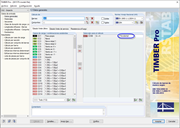 Datos generales en TIMBER Pro con la asignación de la situación de proyecto