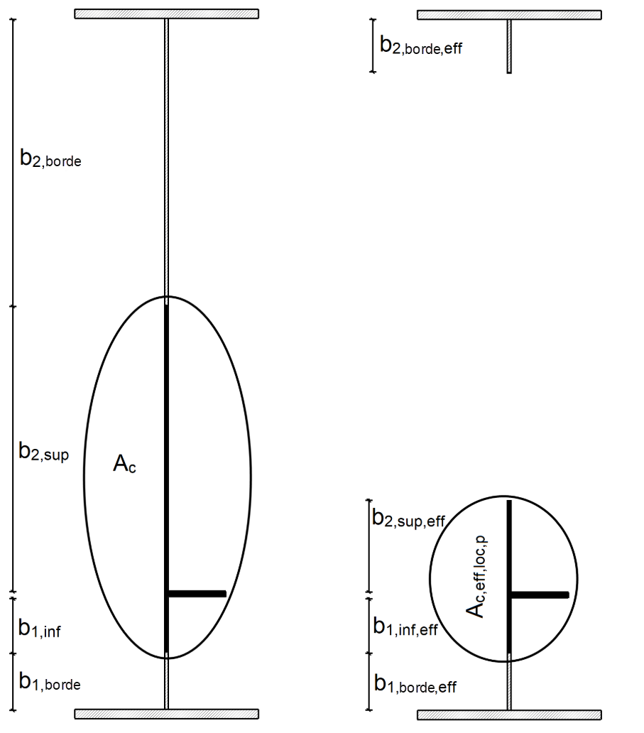 Sección bruta y eficaz debido al pandeo lateral