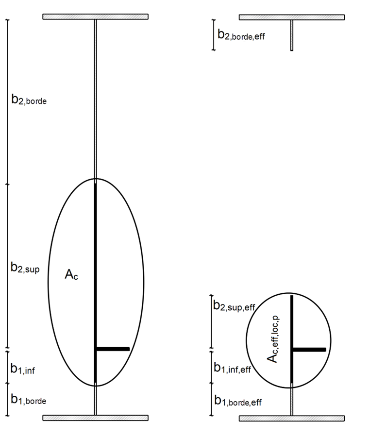 Sección bruta y eficaz debido al pandeo lateral