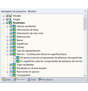 Visualización de esfuerzos internos solo para el nervio