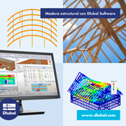 Structural Timber with Dlubal Software