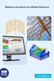 Structural Timber with Dlubal Software