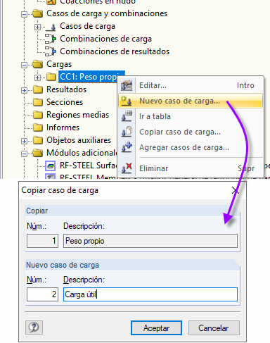 Copiar el caso de carga