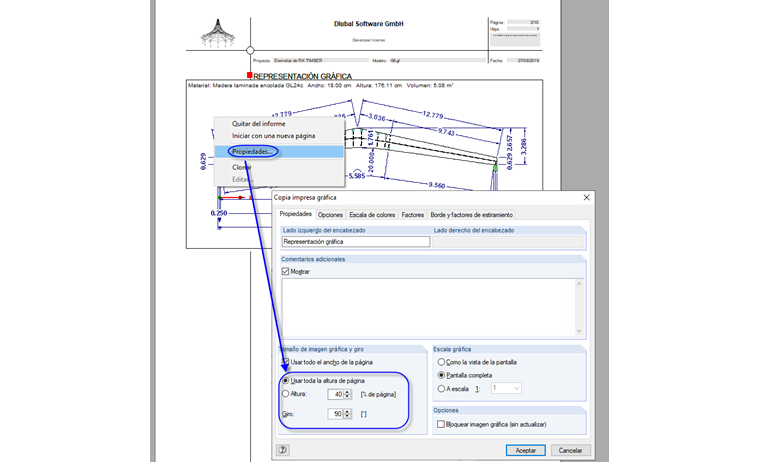 Propiedades de la impresión gráfica