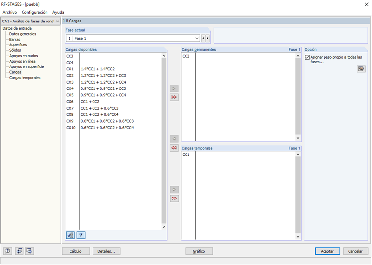 Asignación de cargas permanentes y temporales