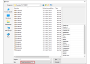 Opción para filtrar tipos de archivo