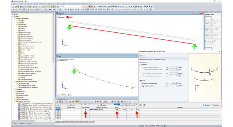 Caso de carga con categoría de acción "Form Finding"