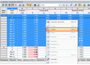 Copia manual de los esfuerzos internos desde RSTAB/RFEM